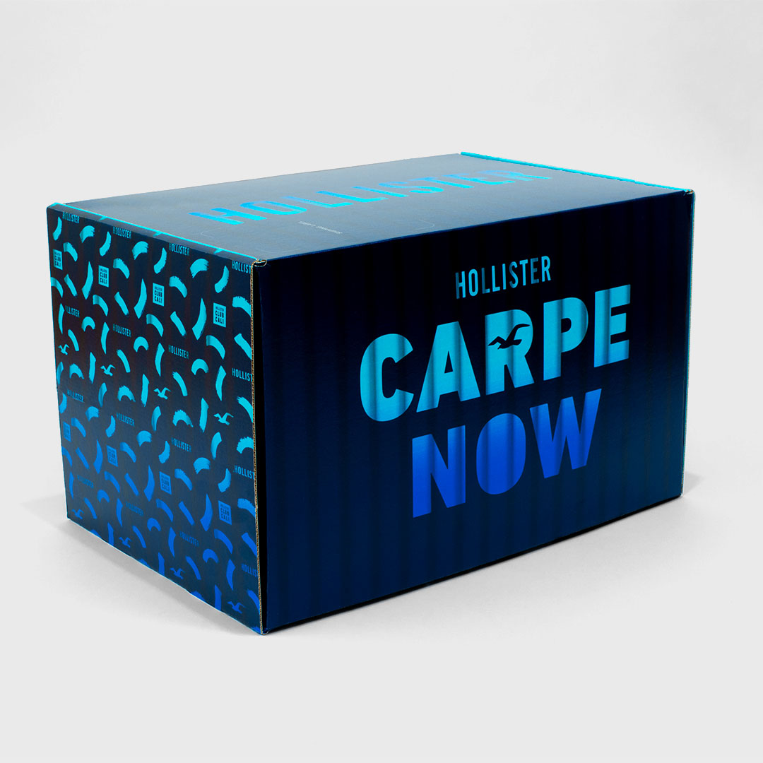 HCO_CARPE_BOX3-sm